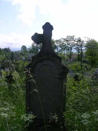 View larger image View larger image