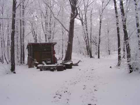 View larger image View larger image