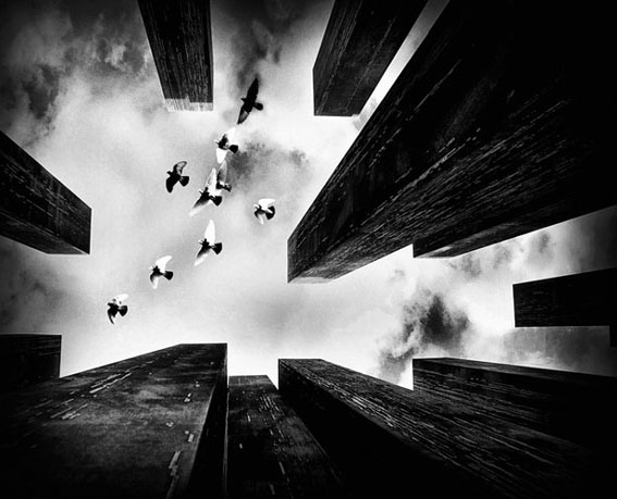 View larger image View larger image