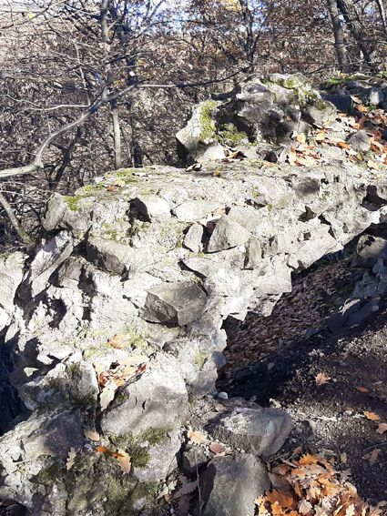 View larger image View larger image