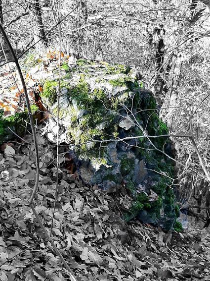 View larger image View larger image