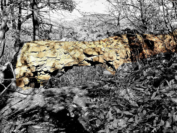 View larger image View larger image