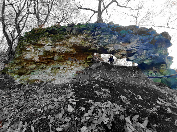 View larger image View larger image