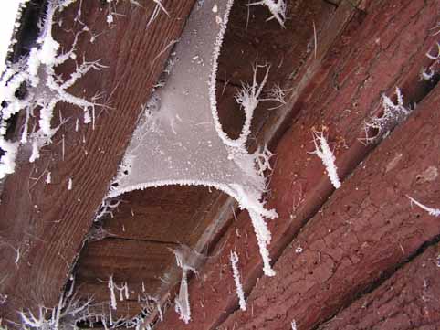 View larger image View larger image