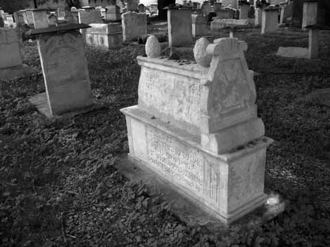 View larger image View larger image