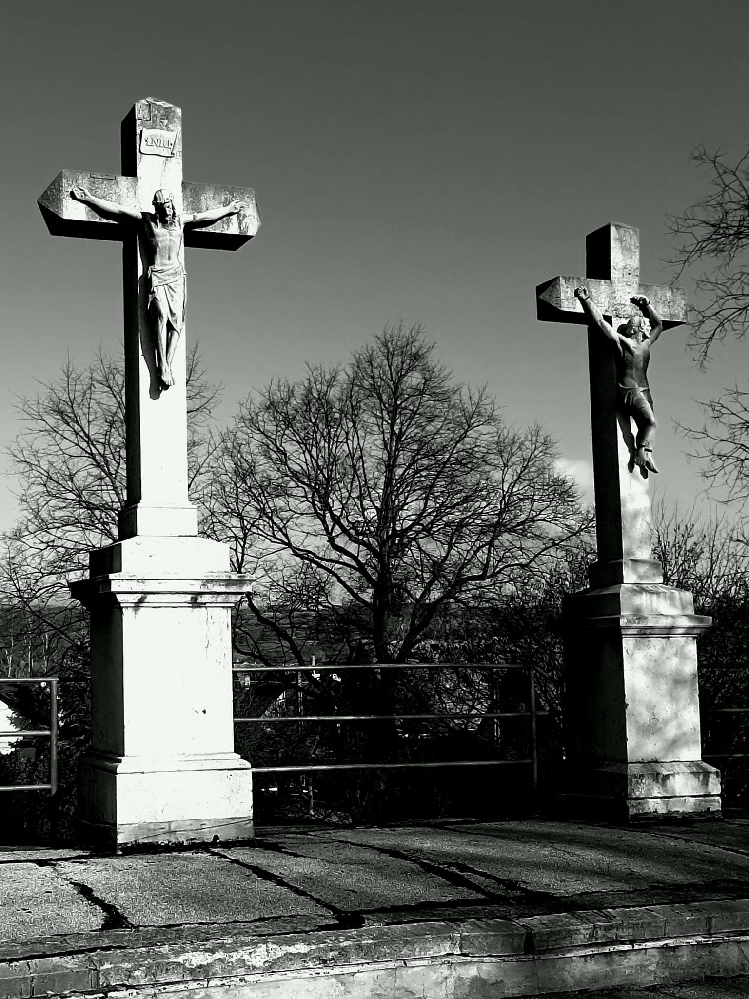 View larger image View larger image