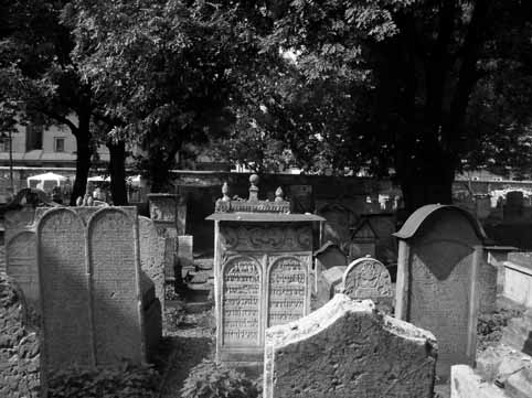 View larger image View larger image