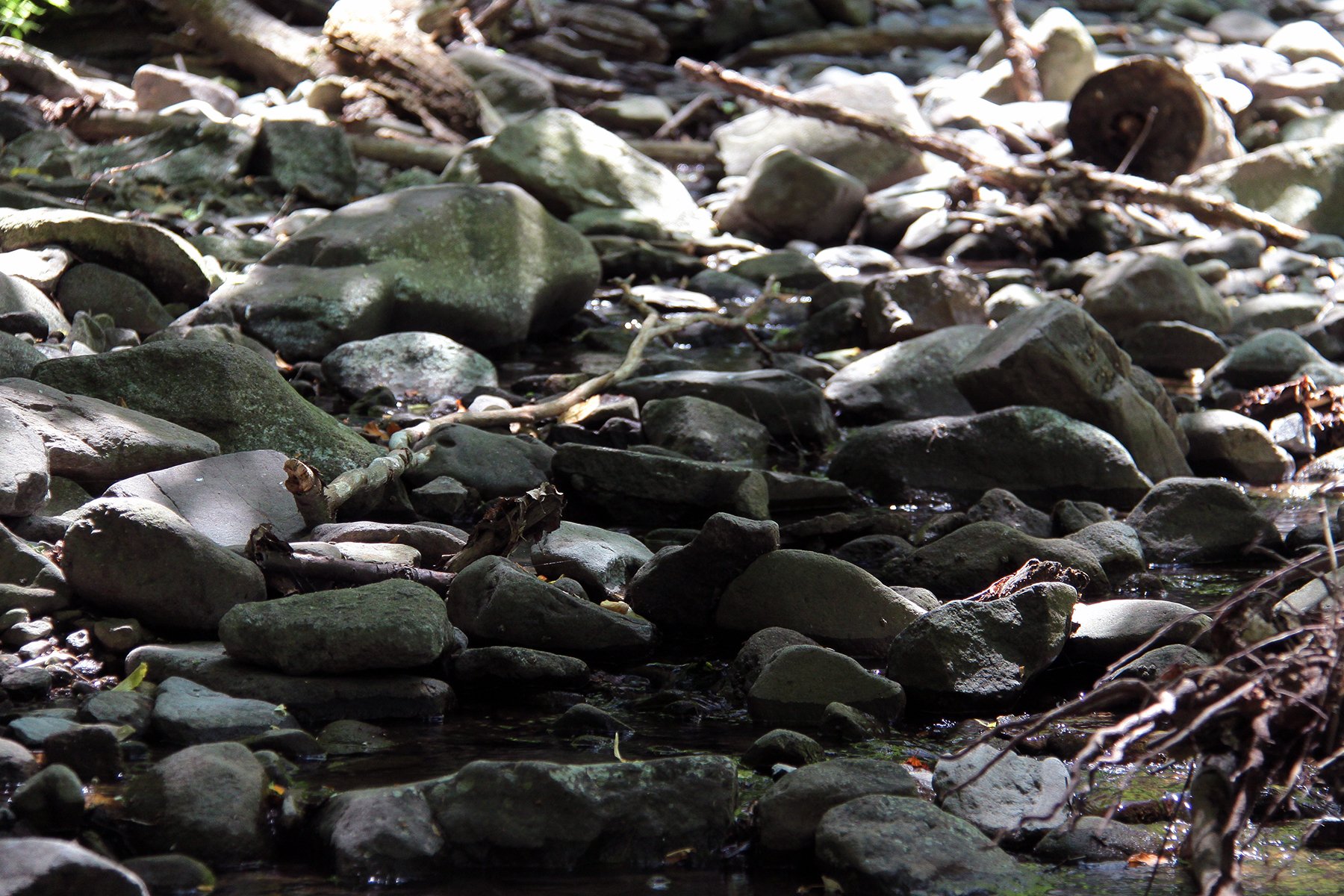 View larger image View larger image