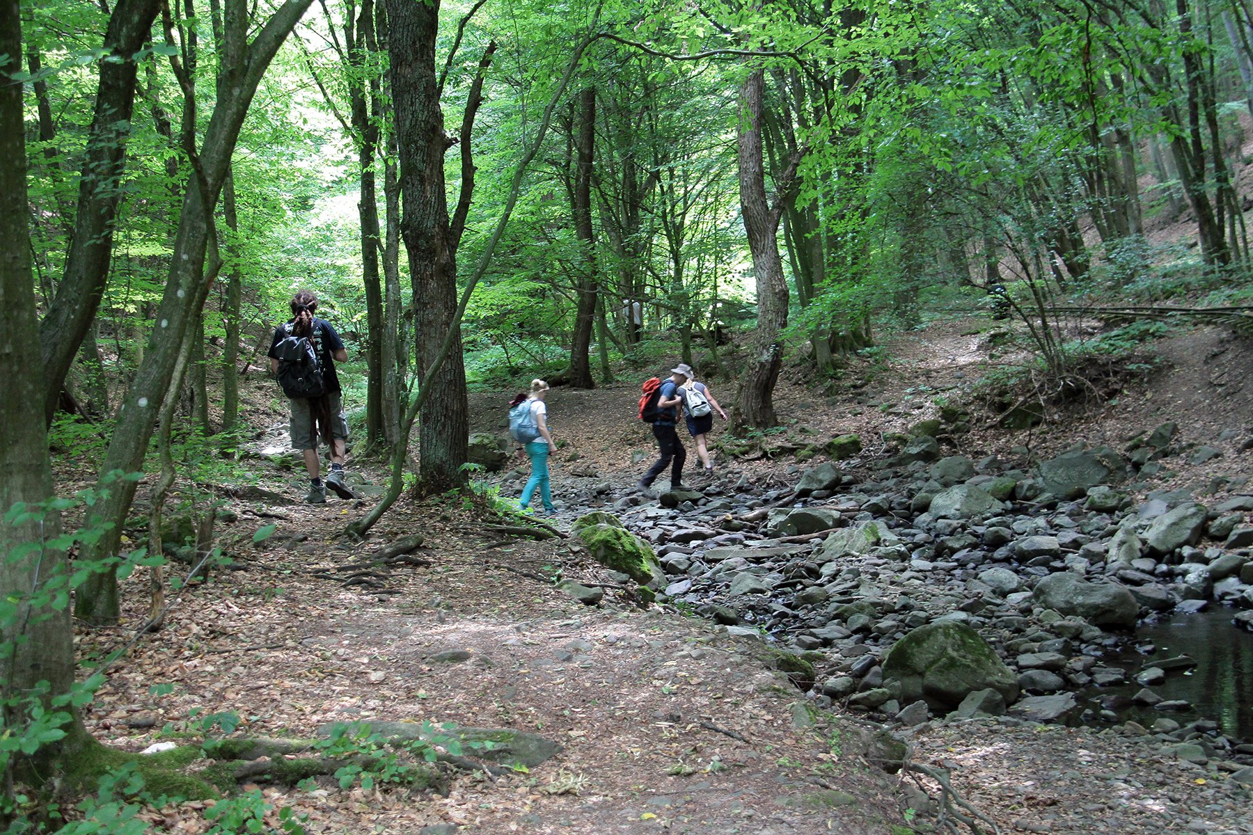 View larger image View larger image