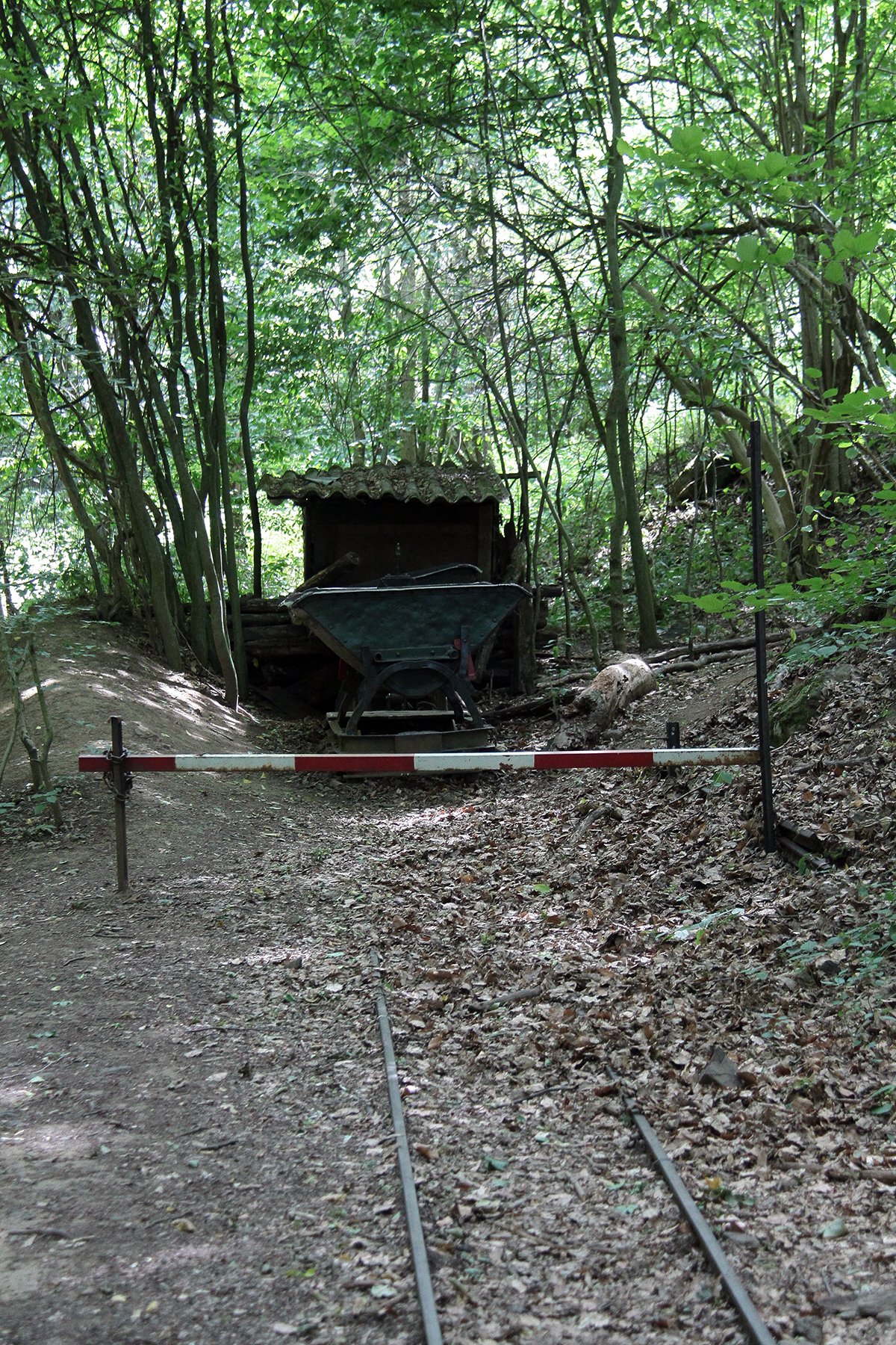 View larger image View larger image