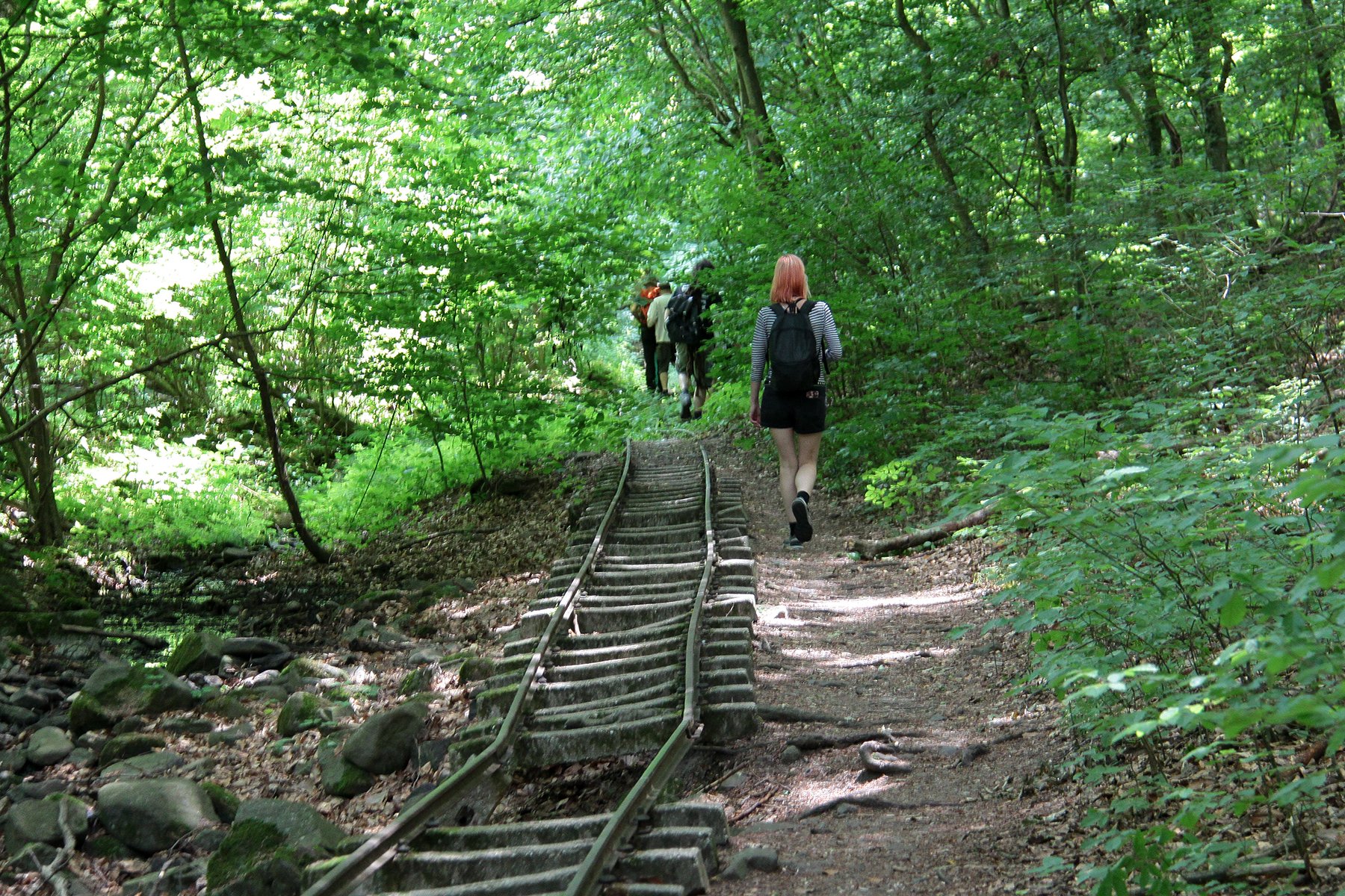 View larger image View larger image