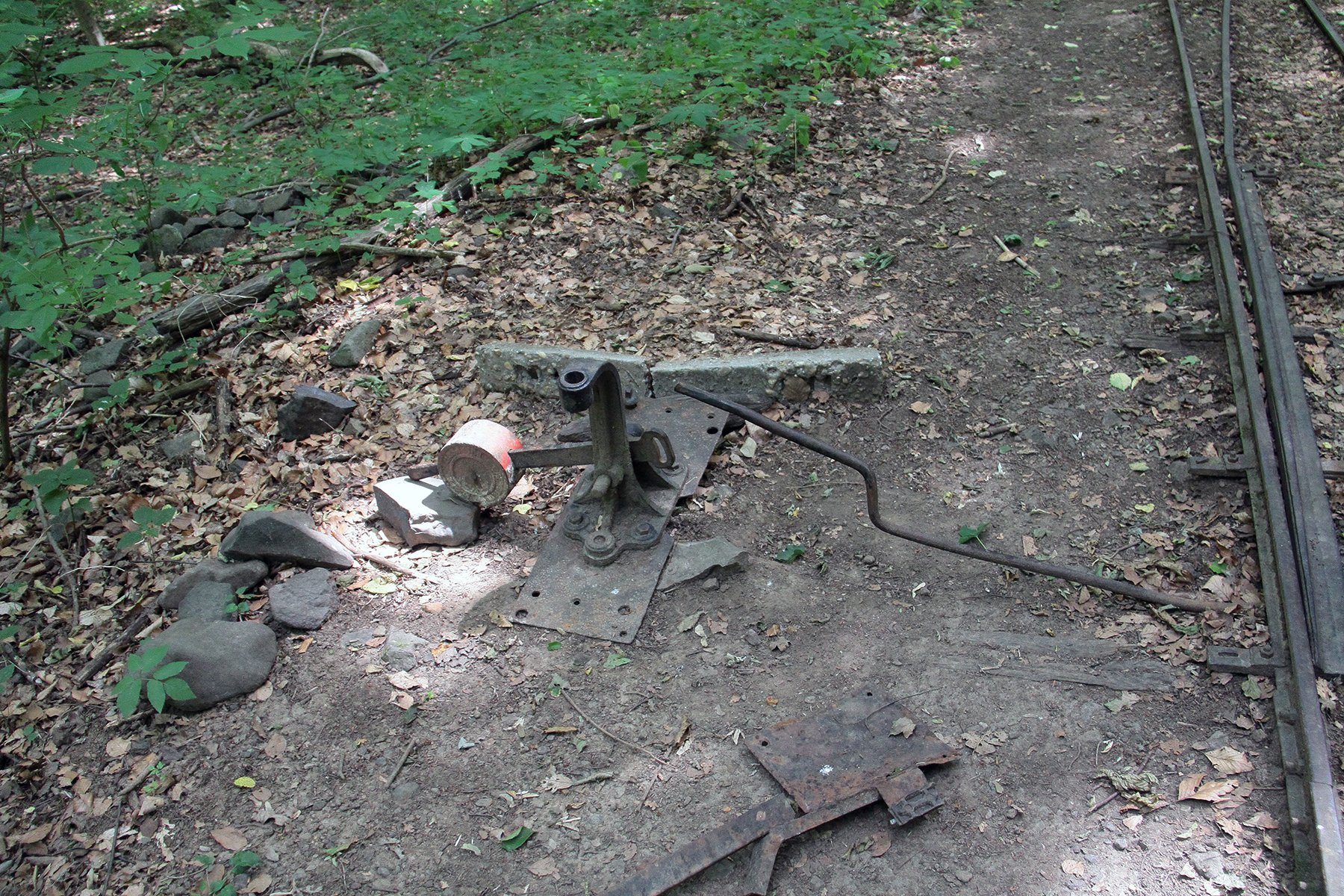 View larger image View larger image