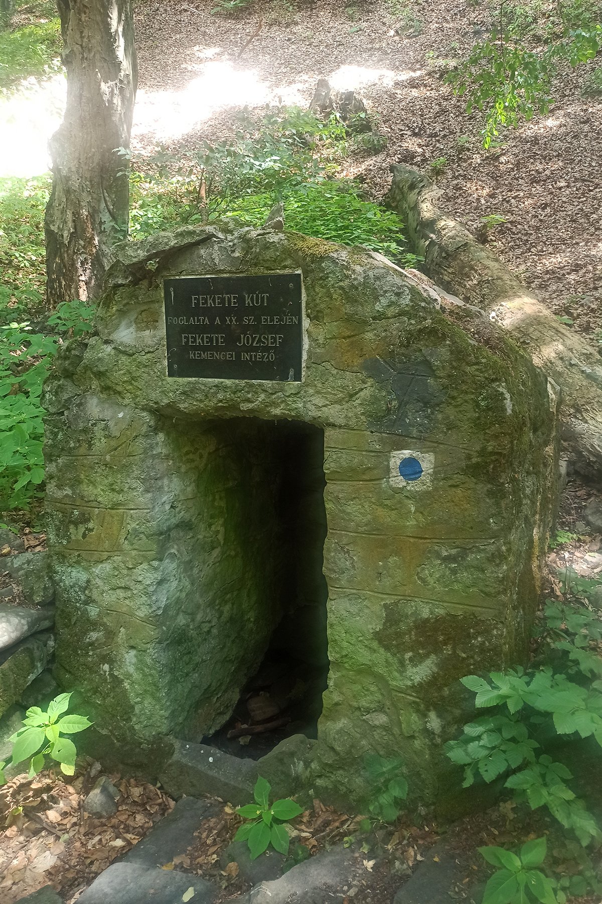 View larger image View larger image