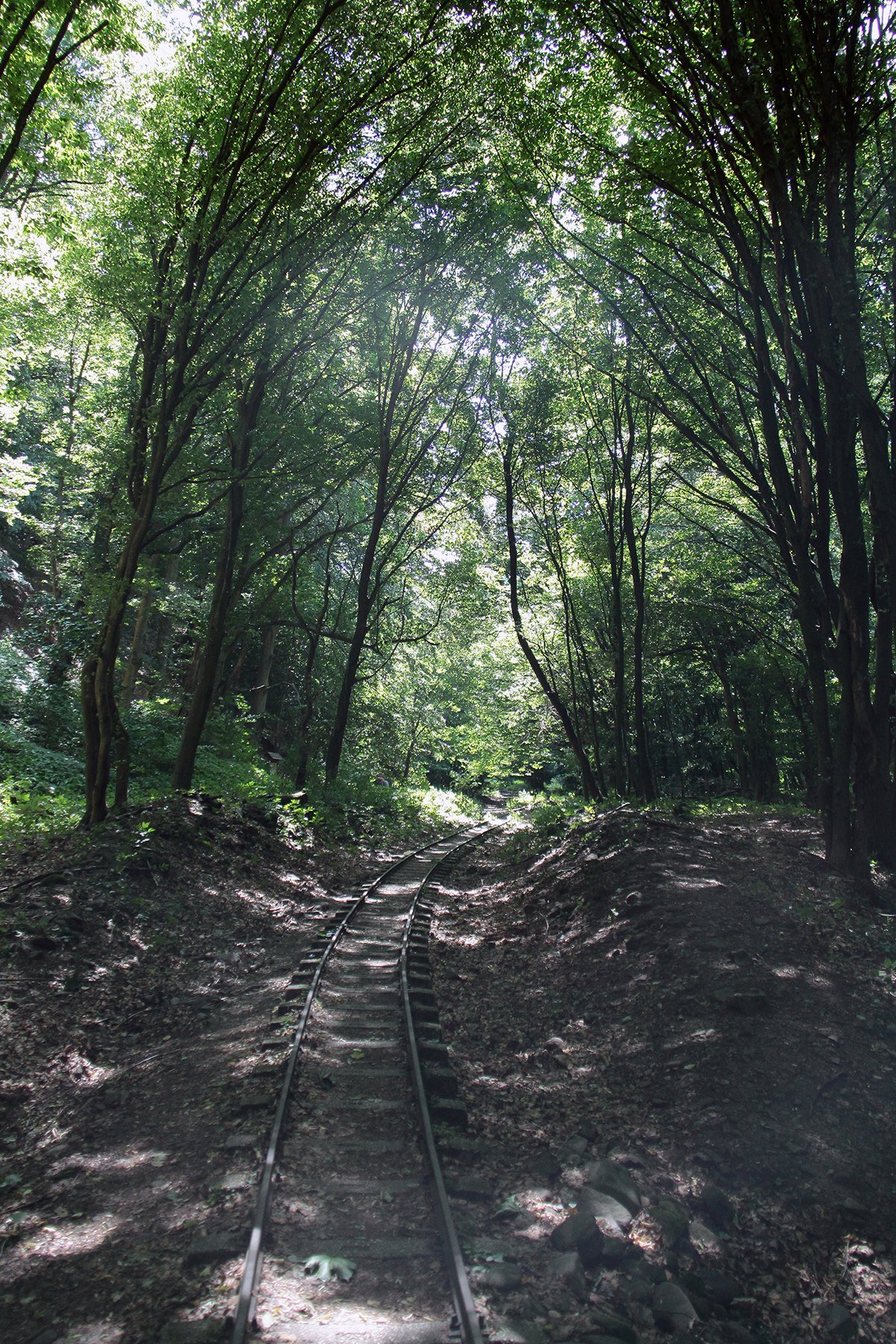 View larger image View larger image