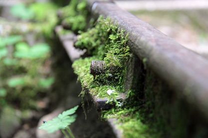 View larger image View larger image