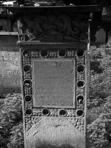 View larger image View larger image