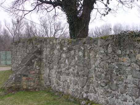 View larger image View larger image