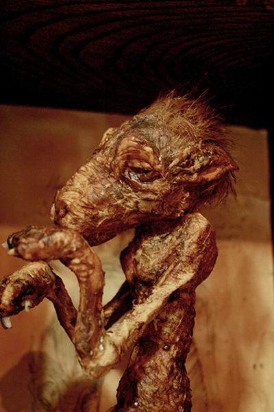 View larger image View larger image