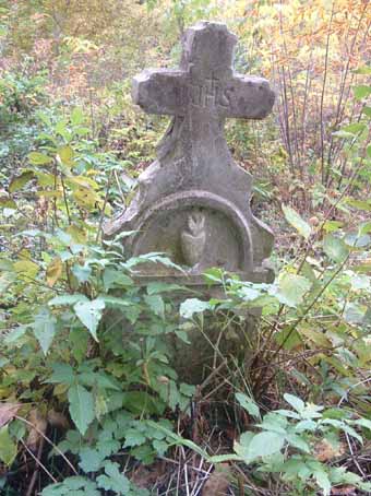 View larger image View larger image