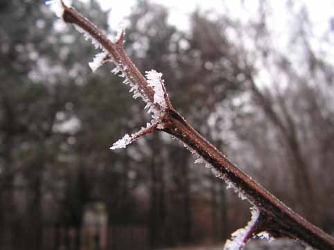 View larger image View larger image