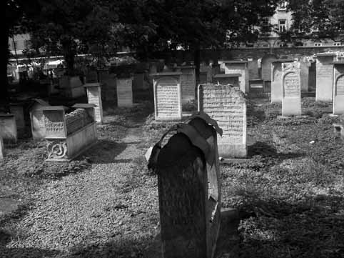 View larger image View larger image