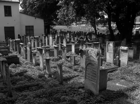 View larger image View larger image