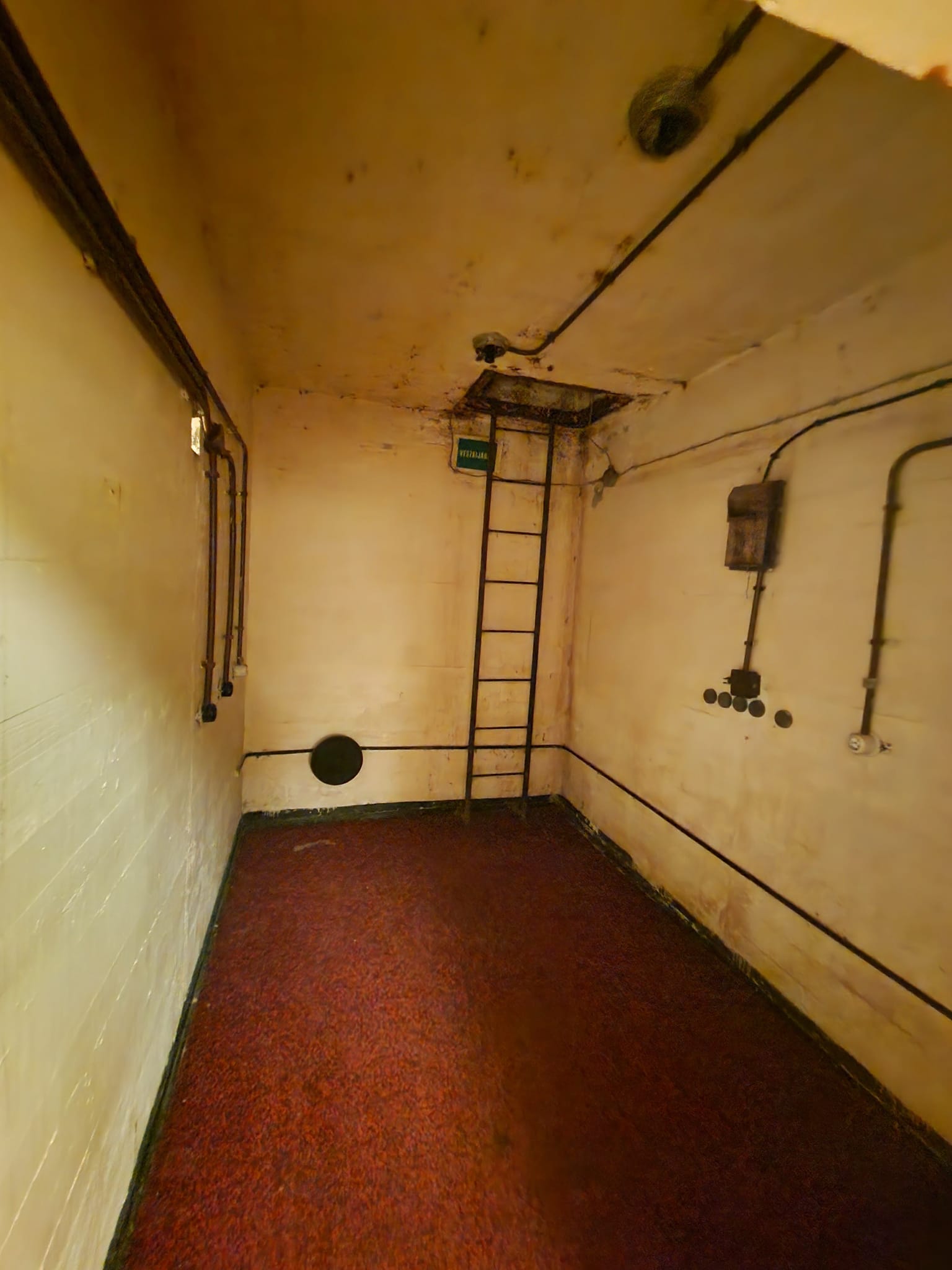 View larger image View larger image