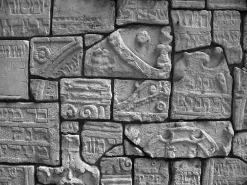 View larger image View larger image