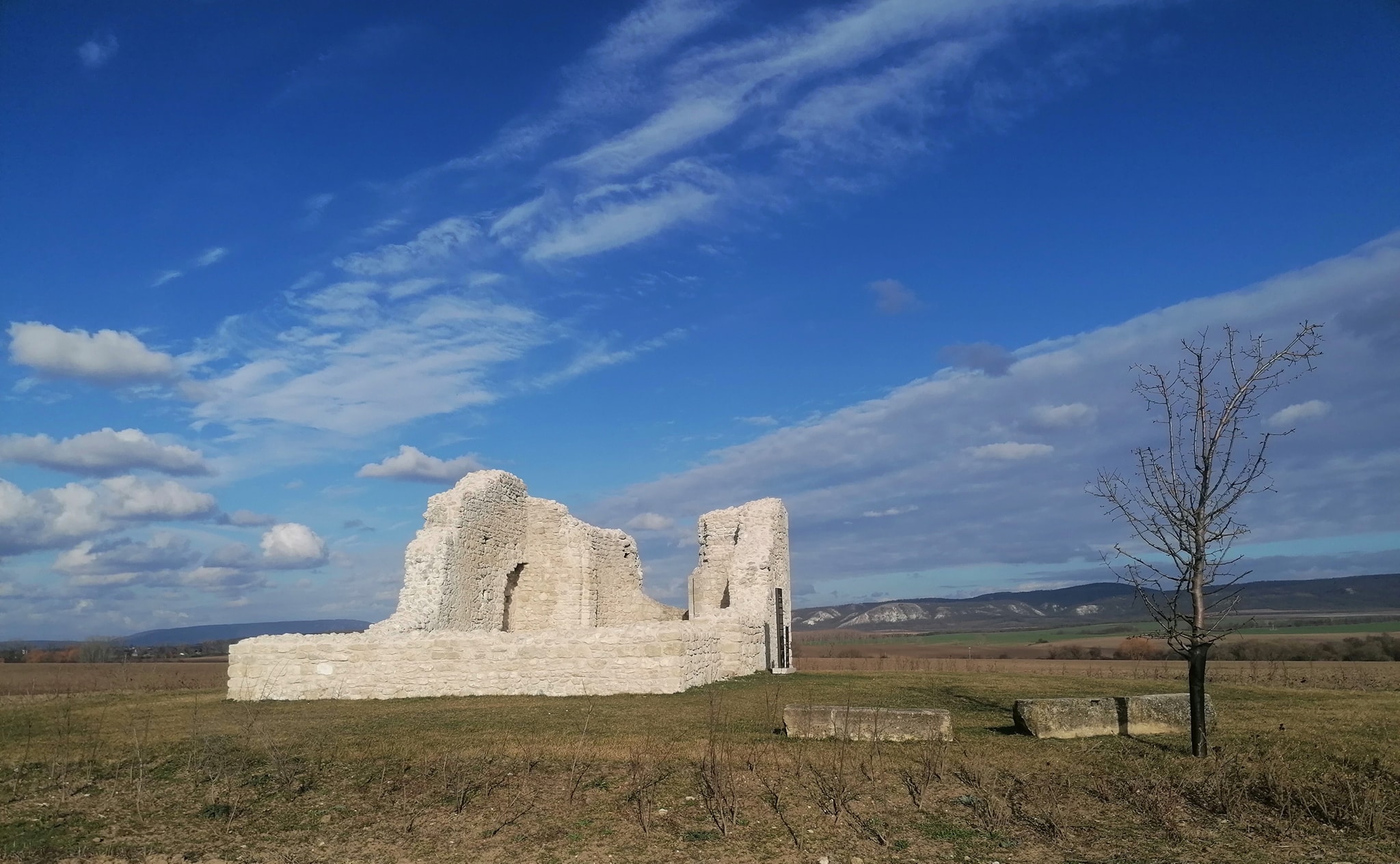 View larger image View larger image