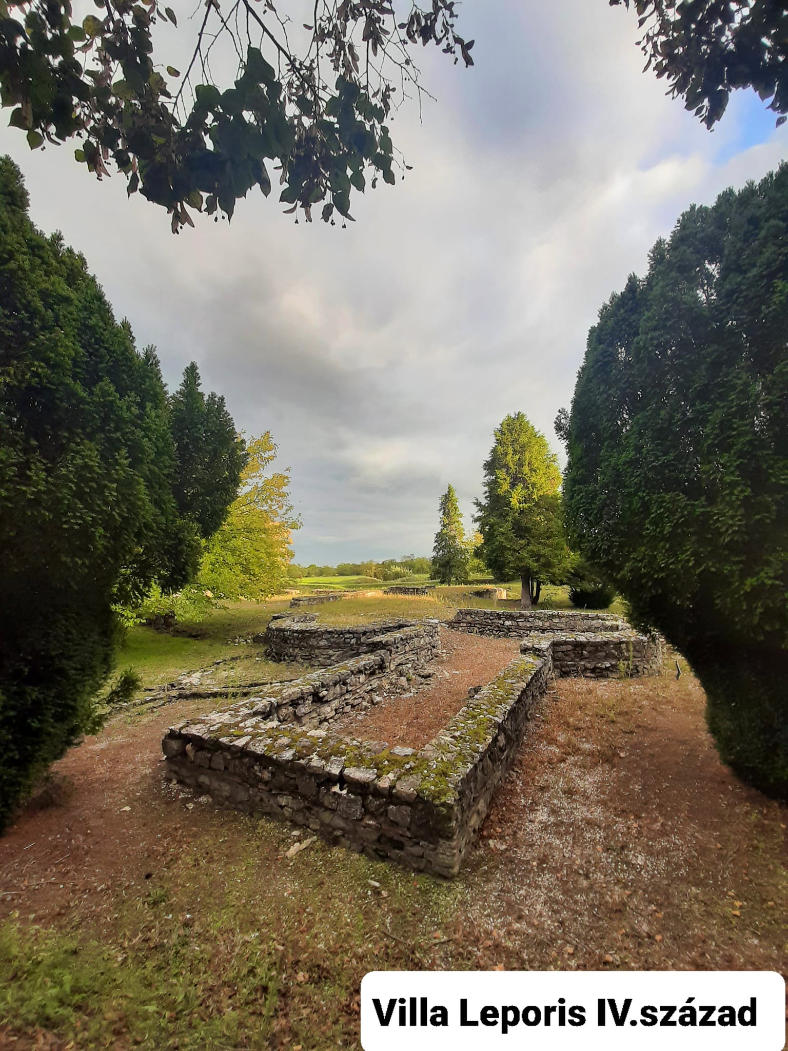 View larger image View larger image