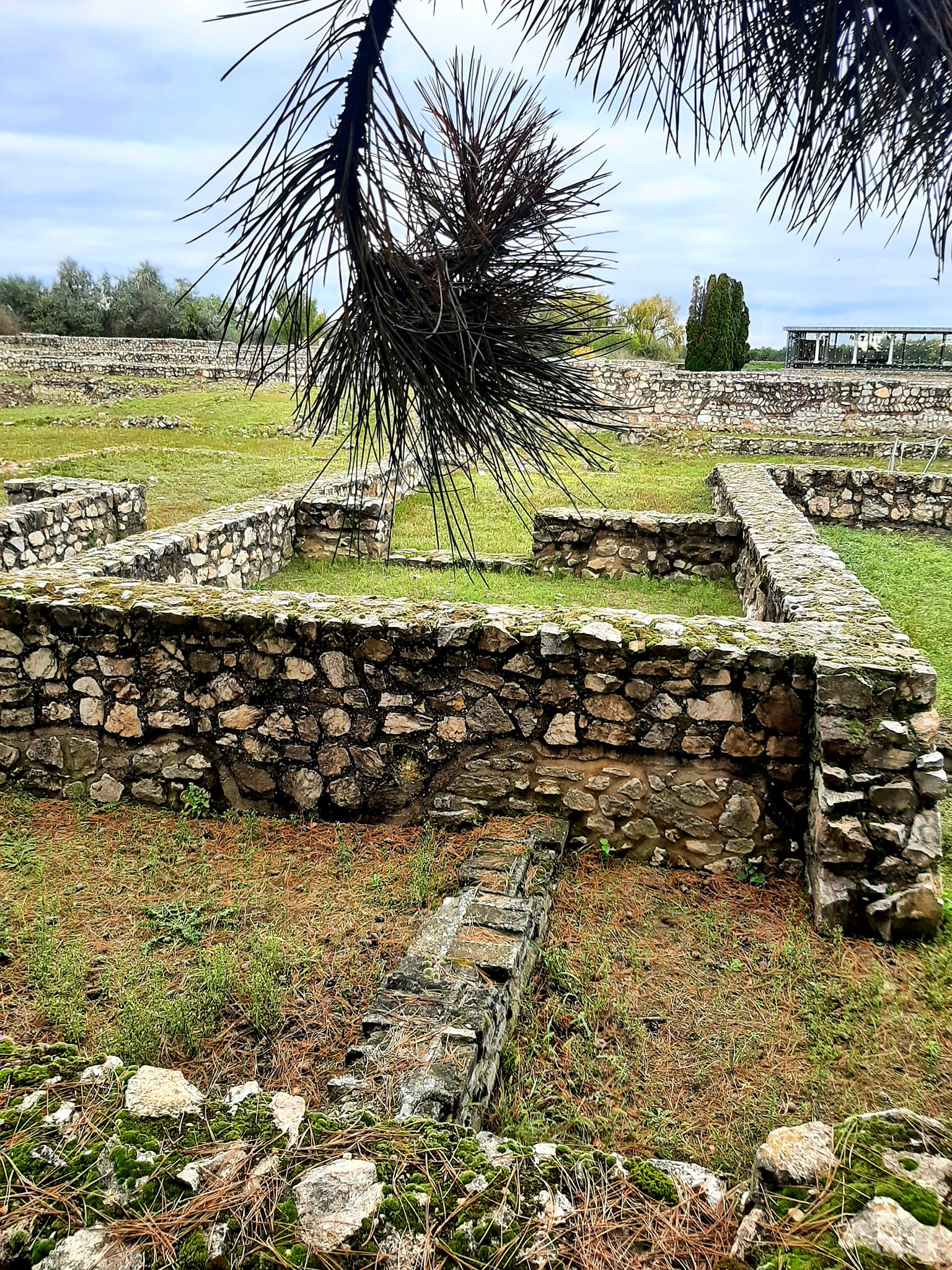 View larger image View larger image