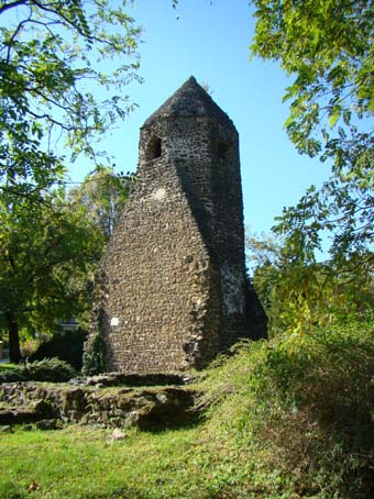 View larger image View larger image