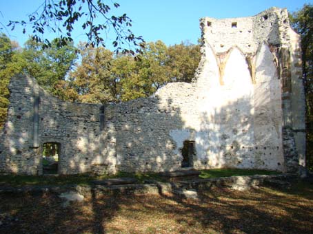 View larger image View larger image