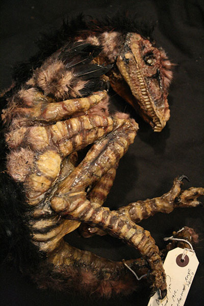 View larger image View larger image