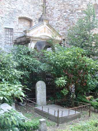 View larger image View larger image