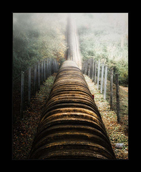 View larger image View larger image