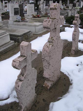 View larger image View larger image