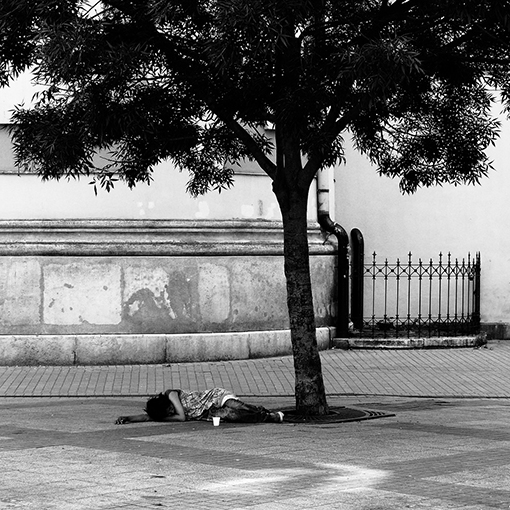 View larger image View larger image