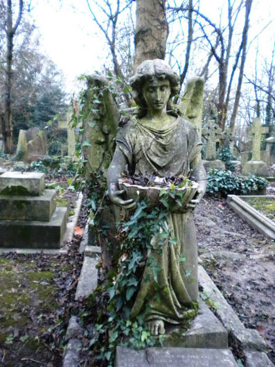 View larger image View larger image