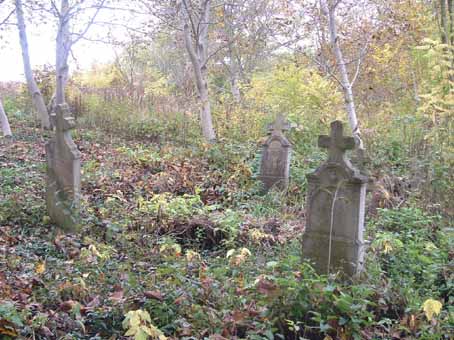 View larger image View larger image