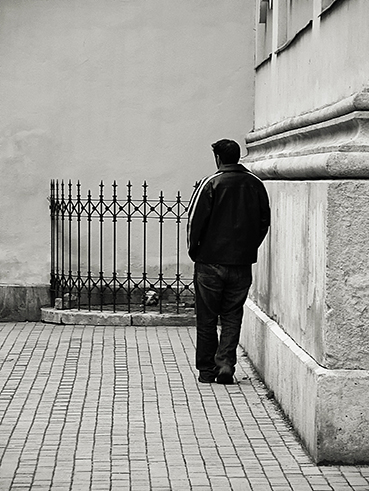 View larger image View larger image