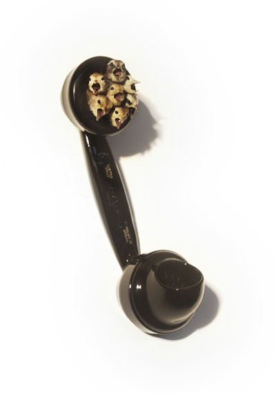 View larger image View larger image