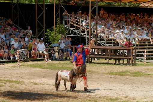 View larger image View larger image