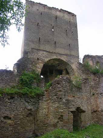 View larger image View larger image