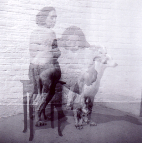 View larger image View larger image