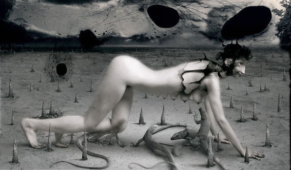 View larger image View larger image