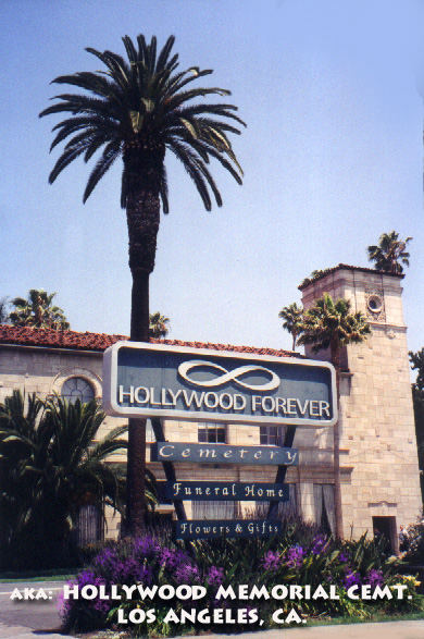 View larger image View larger image