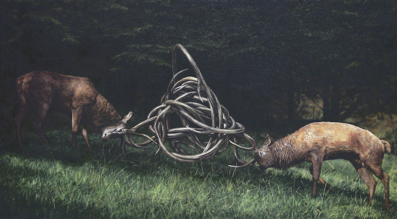 View larger image View larger image