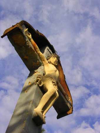 View larger image View larger image