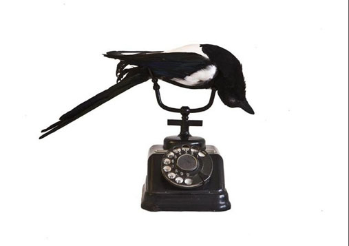 View larger image View larger image